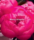 Cover: Ida Applebroog: Mercy Hospital - Karma