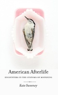 Cover: American Afterlife - University of Georgia Press