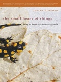 Cover: The Small Heart of Things - Cokesbury