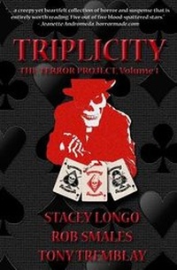 Enlarge image Cover: Triplicity - Books & Boos Press