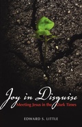 Bild: Joy in Disguise - Morehouse Publishing