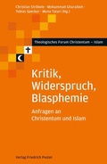 Cover: Kritik, Widerspruch, Blasphemie - Pustet, F