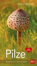 Abbildung von: Pilze - BLV