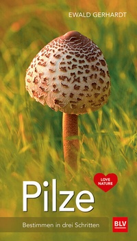 Abbildung von: Pilze - BLV