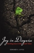 Cover: Joy in Disguise - Morehouse Publishing