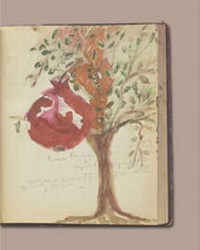 Abbildung von: Anna Boghiguian. Promenade dans l'inconscient - König, Walther