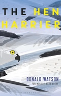 Cover: The Hen Harrier - Bloomsbury Natural History