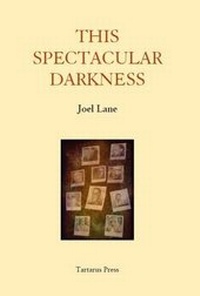 Enlarge image Cover: This Spectacular Darkness 2016 - The Tartarus Press