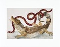 Cover: Maria Sibylla Merian - gerahmter Druck "Caiman" - Gerstenberg