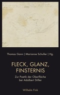 Cover: Fleck, Glanz, Finsternis - Brill Deutschland