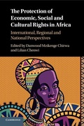 Cover: The Protection of Economic, Social and Cultural Rights in Africa - Cambridge University Press