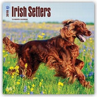Bild vergrößern Bild: Irish Setters - Irish Setter 2018 - 18-Monatskalender mit freier DogDays-App - Brown Trout