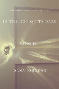 Enlarge image Cover: In the Not Quite Dark - Counterpoint