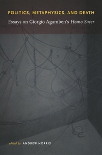 Enlarge image Cover: Politics, Metaphysics, and Death - Duke University Press