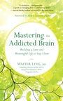 Cover: Mastering the Addicted Brain - New World Library