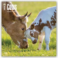 Abbildung von: Cows - Kühe 2018 - 18-Monatskalender - Brown Trout