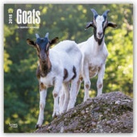 Abbildung von: Goats - Ziegen 2018 - 18-Monatskalender - Brown Trout