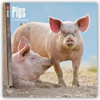 Abbildung von: Pigs - Schweine 2018 - 18-Monatskalender - Brown Trout