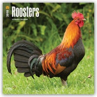 Abbildung von: Roosters - Hähne 2018 - 18-Monatskalender - Brown Trout