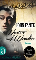 Cover: Warten auf Wunder - Aufbau