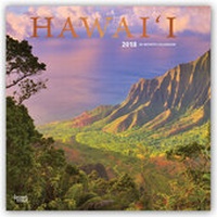 Abbildung von: Hawaii 2018 - 18-Monatskalender mit freier TravelDays-App - Brown Trout