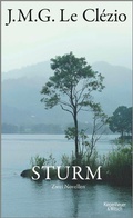 Cover: Sturm - Kiepenheuer & Witsch