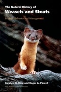 Cover: The Natural History of Weasels and Stoats - OUP eBook