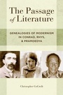 Cover: The Passage of Literature - OUP eBook