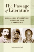 Cover: The Passage of Literature - OUP eBook