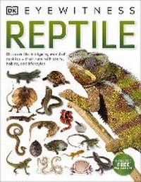 Enlarge image Cover: Reptile - DK Children