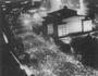 Cover: Exit-Voice Dynamics and the Collapse of East Germany - Duke University Press