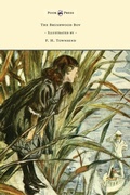 Cover: The Brushwood Boy - Read Books