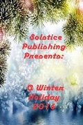 Cover: A Winter Holiday 2016 - Solstice Publishing