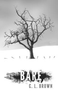 Cover: BARE - Ibhubesi Books