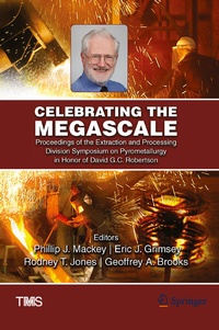Enlarge image Cover: Celebrating the Megascale - Springer