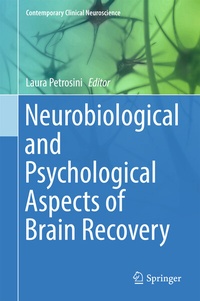Abbildung von: Neurobiological and Psychological Aspects of Brain Recovery - Springer