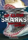 Cover: Australian Geographic Up Close: Sharks - Australian Geographic Pty Ltd