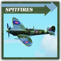 Enlarge image Cover: Spitfires 2018 - Stürtz