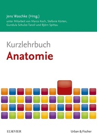 Abbildung von: Kurzlehrbuch Anatomie - Urban & Fischer