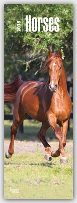 Abbildung von: Horses - Pferde 2018 - Stürtz