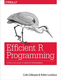 Enlarge image Cover: Efficient R Programming - O'Reilly