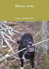 Enlarge image Cover: Reves Verts - Lulu.com