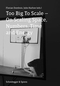 Cover: Too Big to Scale - Scheidegger & Spiess
