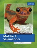 Cover: Molche und Salamander halten und z&uuml;chten - Natur und Tier