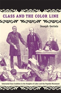 Enlarge image Cover: Class and the Color Line - Duke University Press