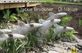 Cover: Jackie Brookner - Gaia Project Press