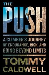 Enlarge image Cover: The Push - Books on Tape