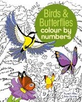 Cover: Birds & Butterflies Colour by Numbers - Arcturus