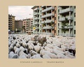 Cover: Transumanza - peperoni books