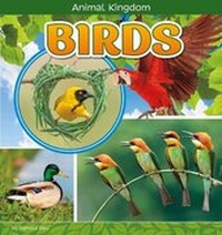Enlarge image Cover: Birds - Raintree